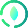 Mongodb Compass